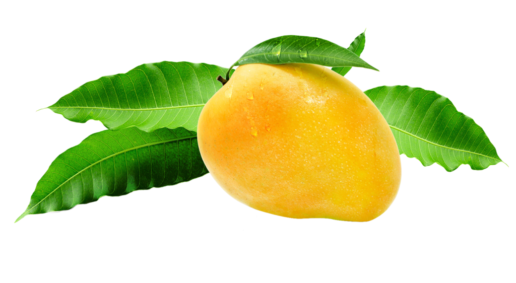 mango 1