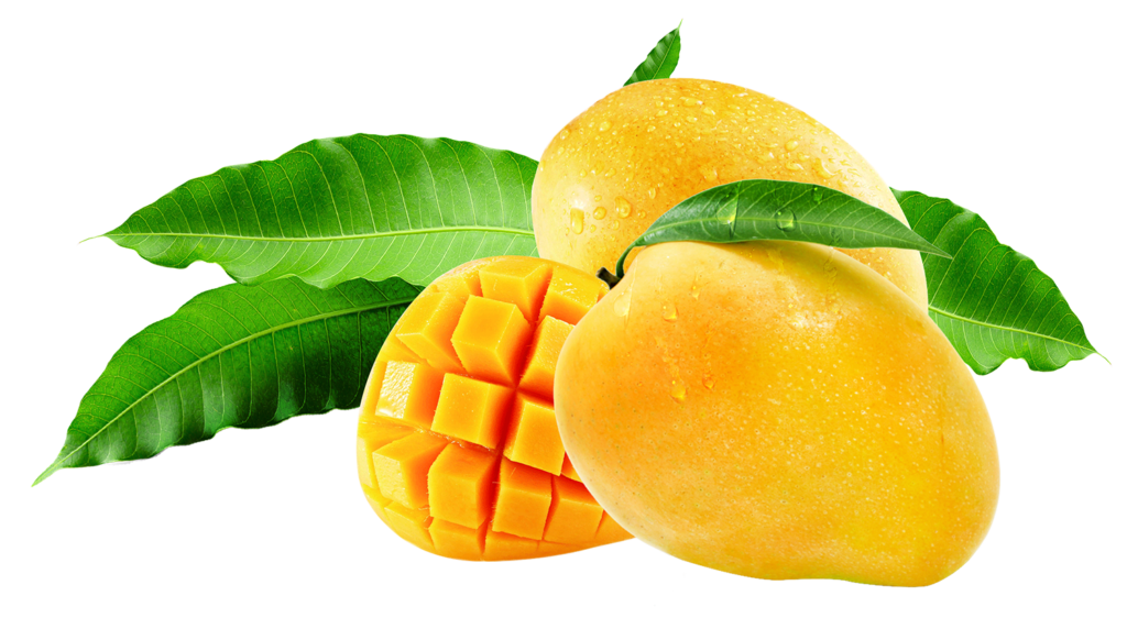 mango 2